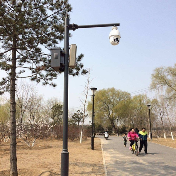 路燈監(jiān)控桿-LB-03