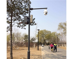 小區(qū)監(jiān)控桿-LB-02